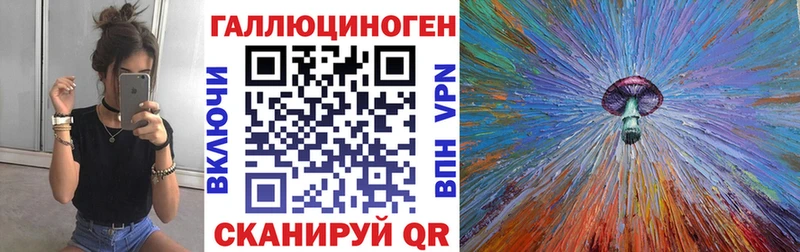 дарнет шоп  Хилок  Галлюциногенные грибы Cubensis 